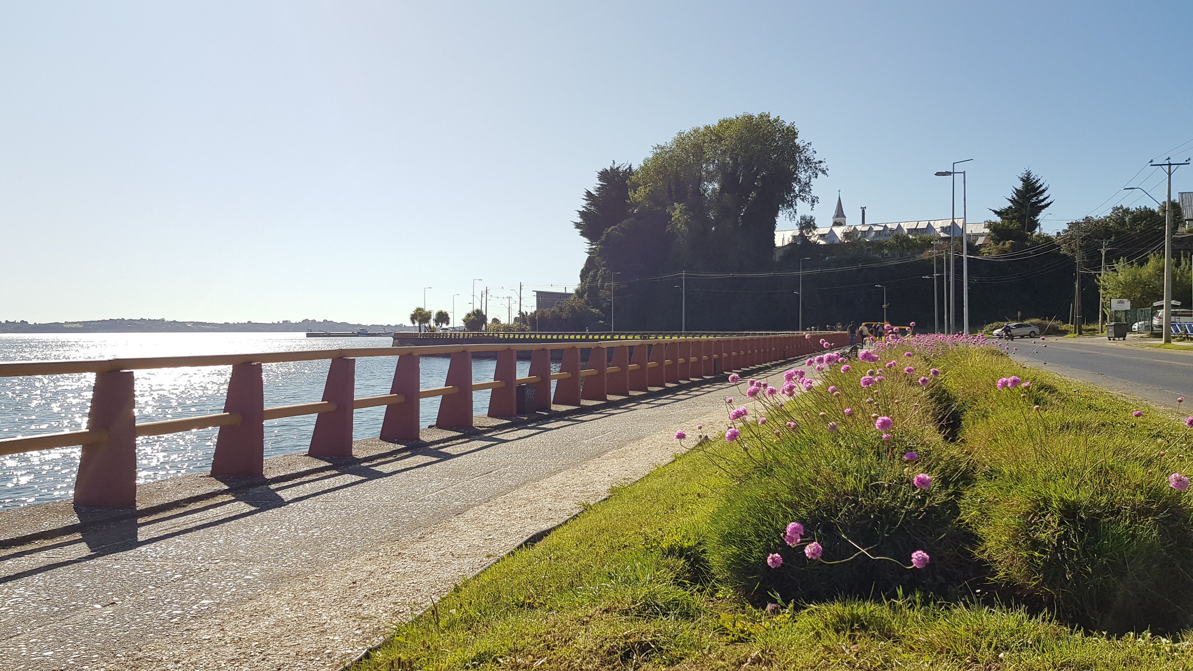 A waterfront promenade with a red railing, grassy areas, and pink flowers.