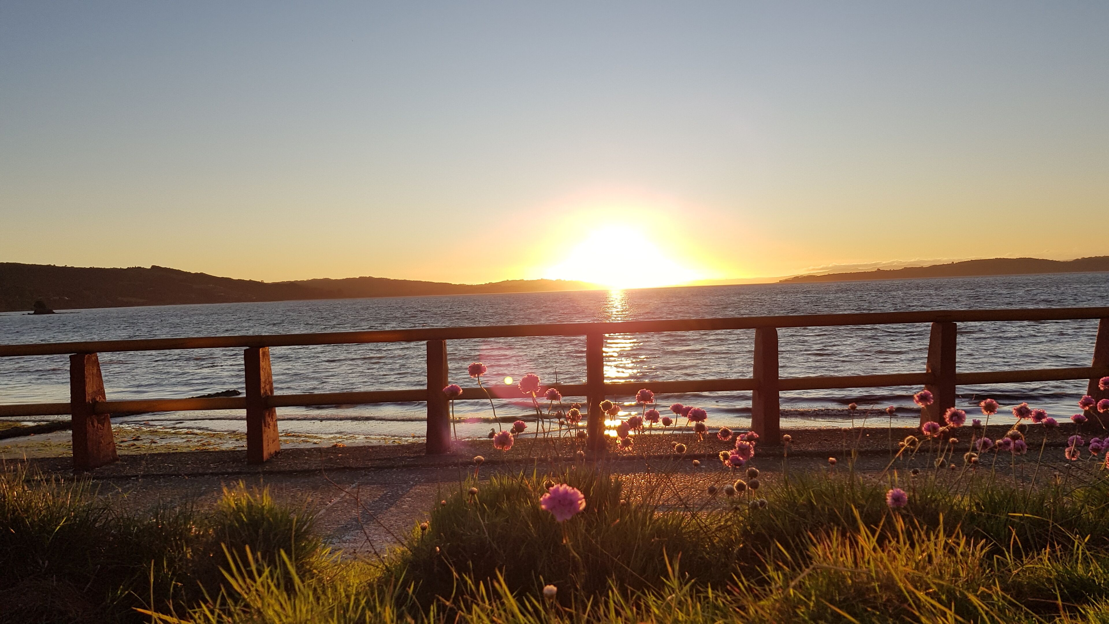 Vistas desde el alojamiento