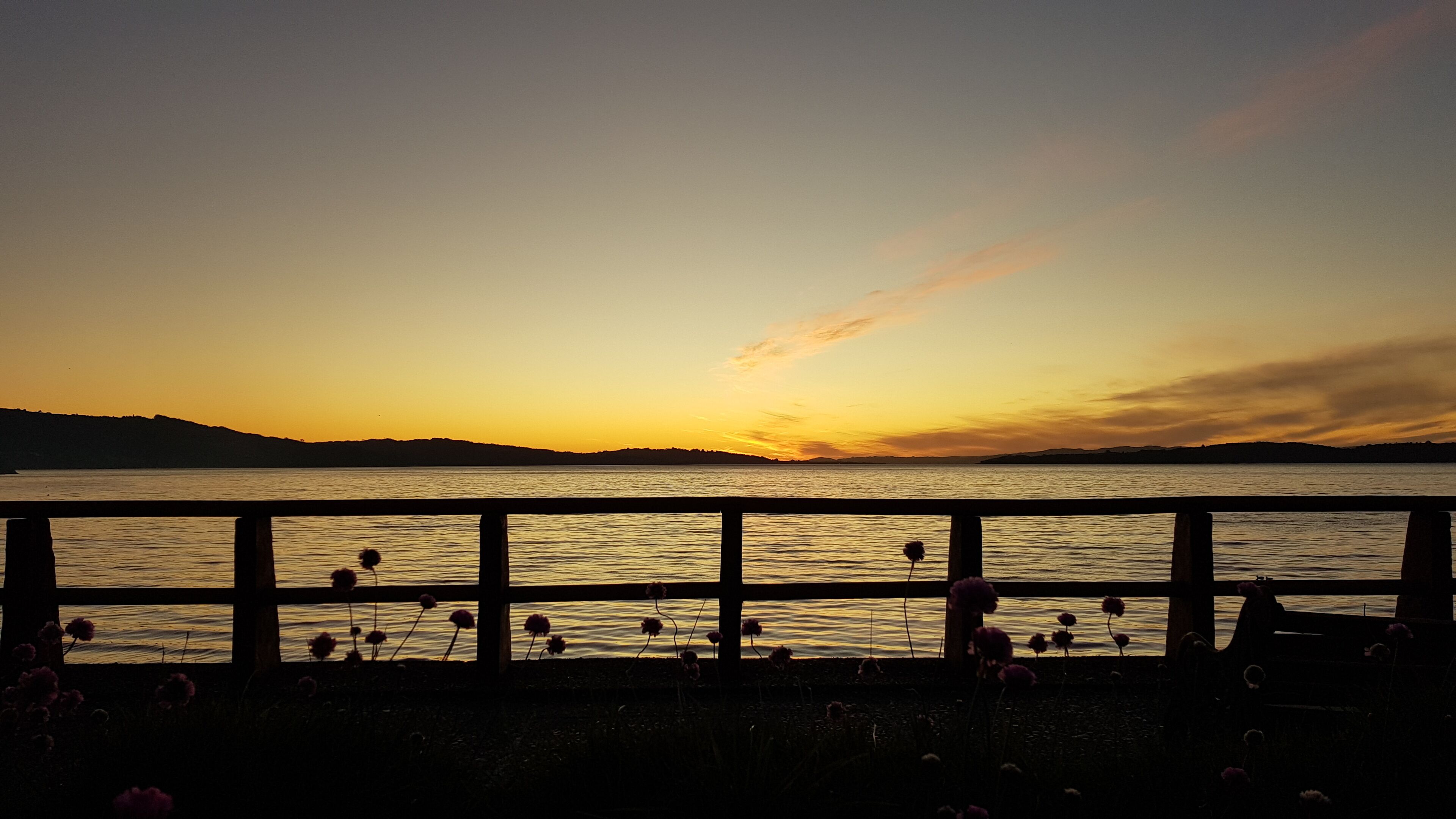 departamento estándar, cuádruple | beach/ocean view