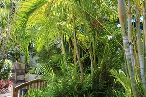 Jardín