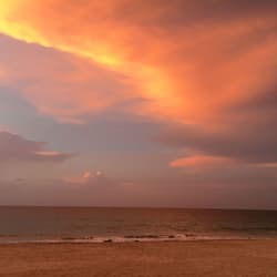 Plage, sable blanc, navette gratuite vers la plage, chaises longues
