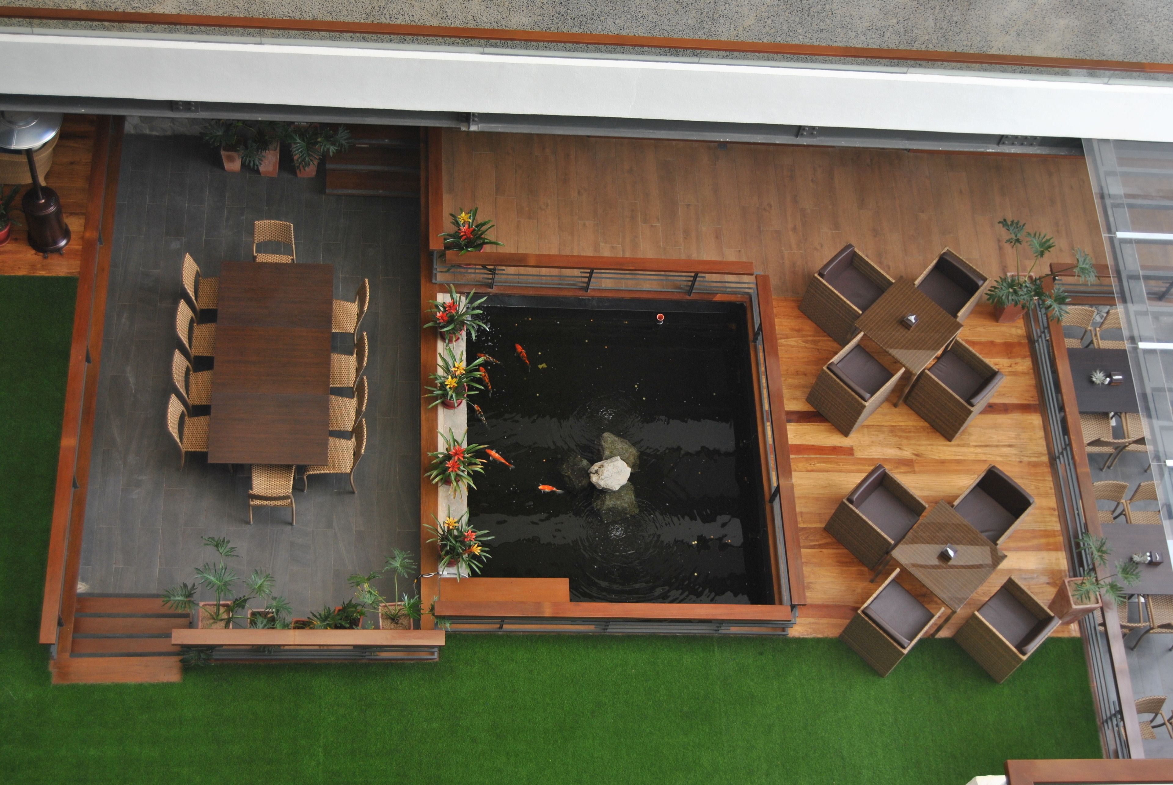 Una terraza en la azotea con una piscina rectangular, rodeada de mobiliario de madera y plantas en macetas.