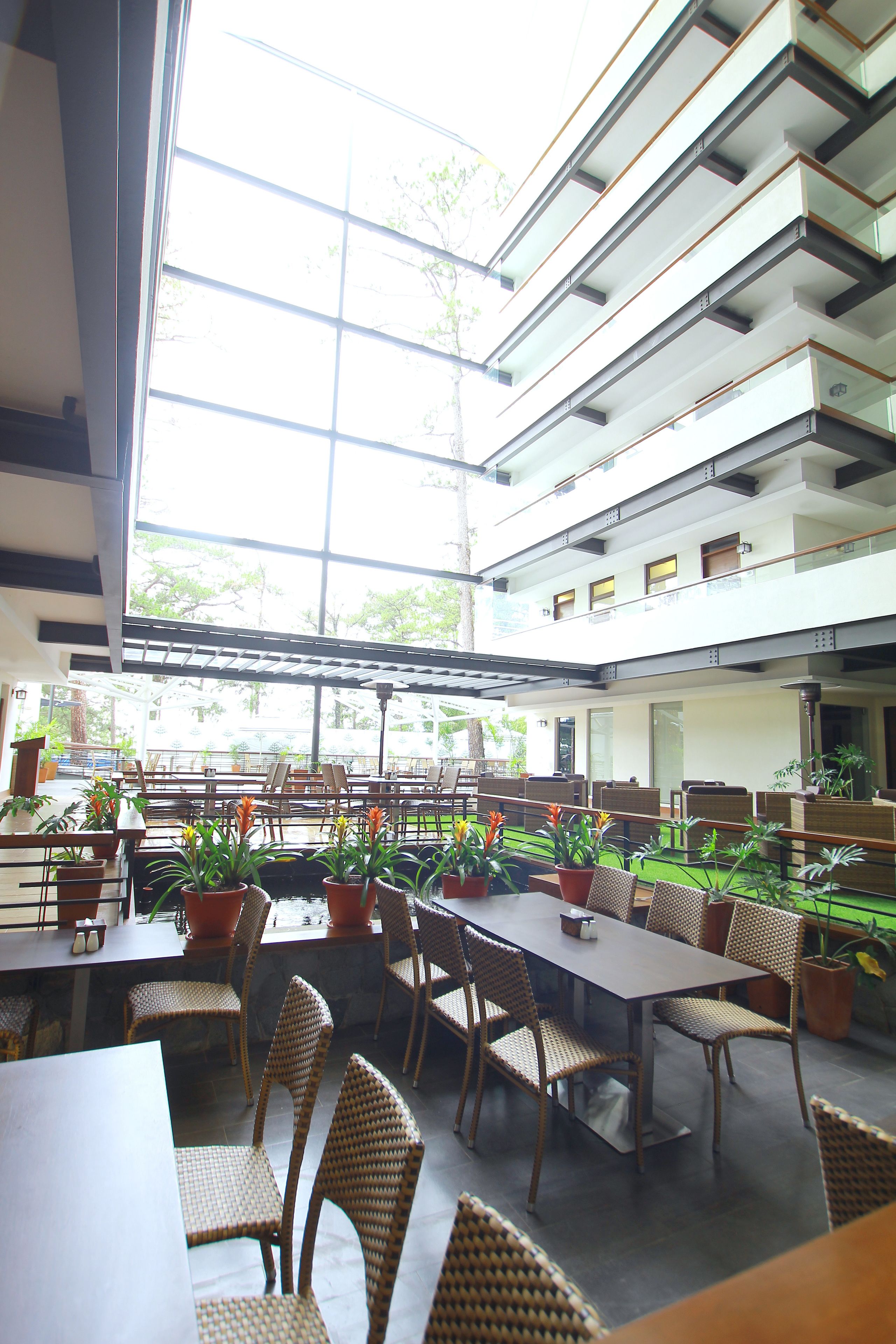 A spacious indoor area with multiple tables and chairs, large windows, and potted plants.