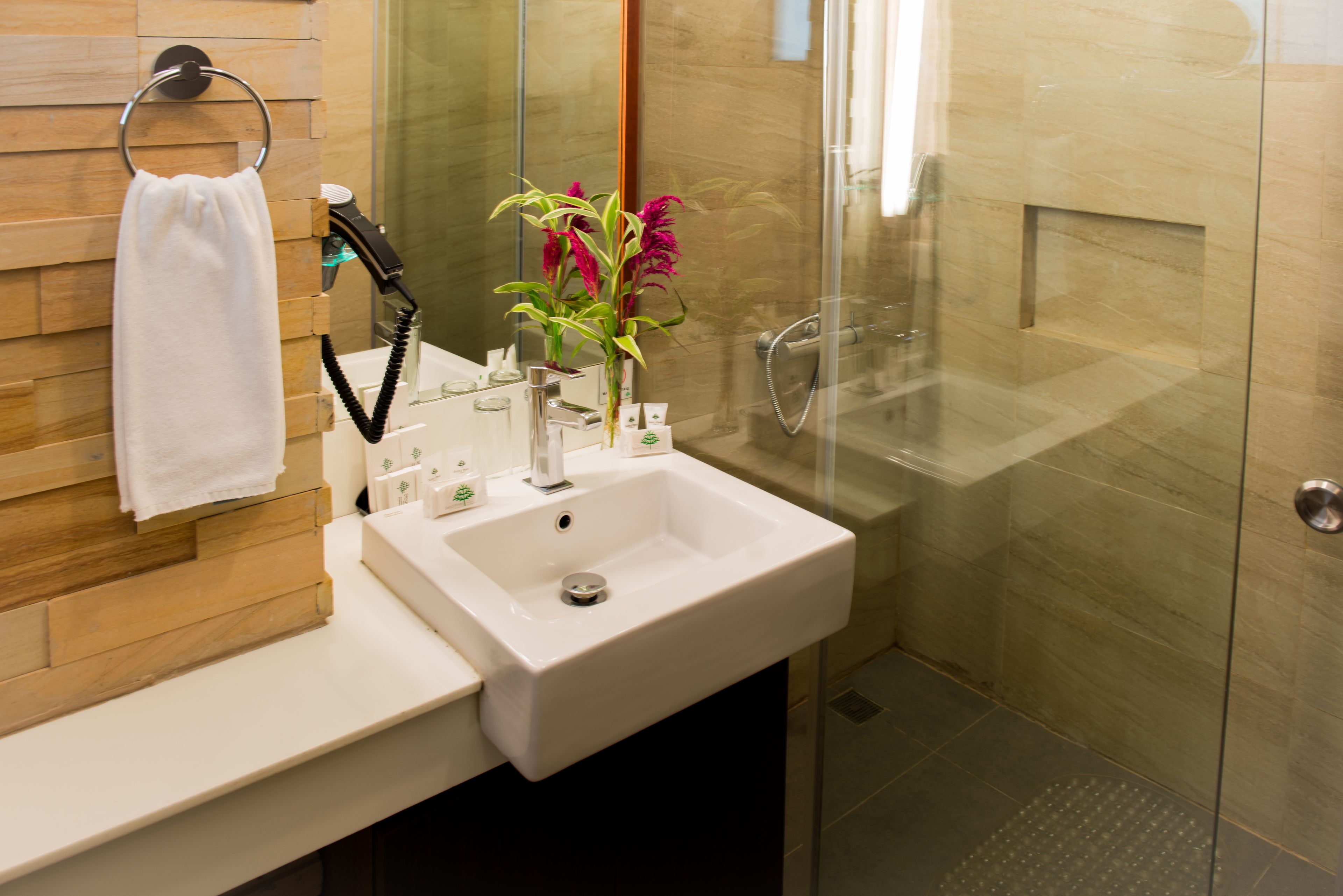 shower, free toiletries, hair dryer, slippers