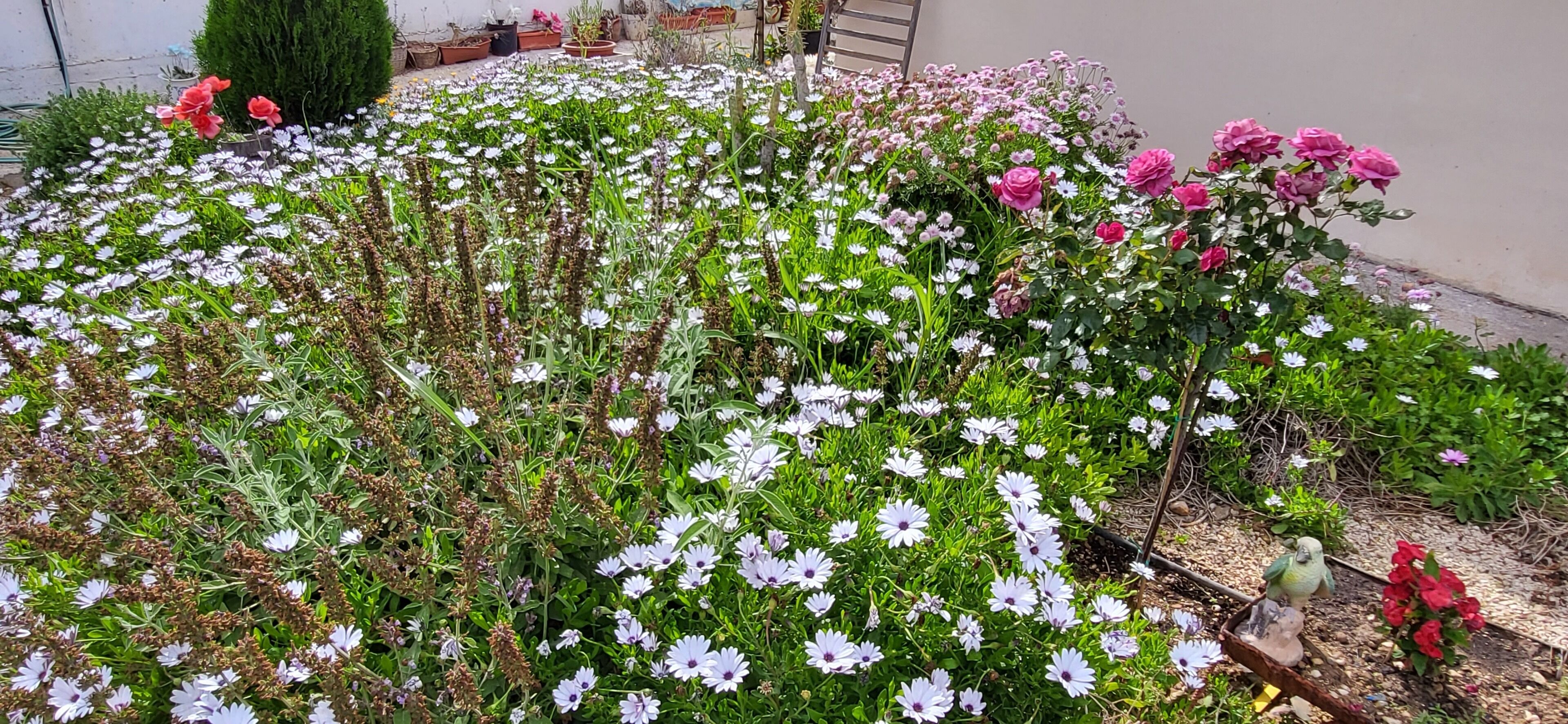 Photo - Georgia Apartments