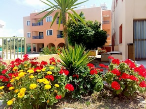 Enjoy the serene views from this building's balcony, surrounded by lush flowering plants.