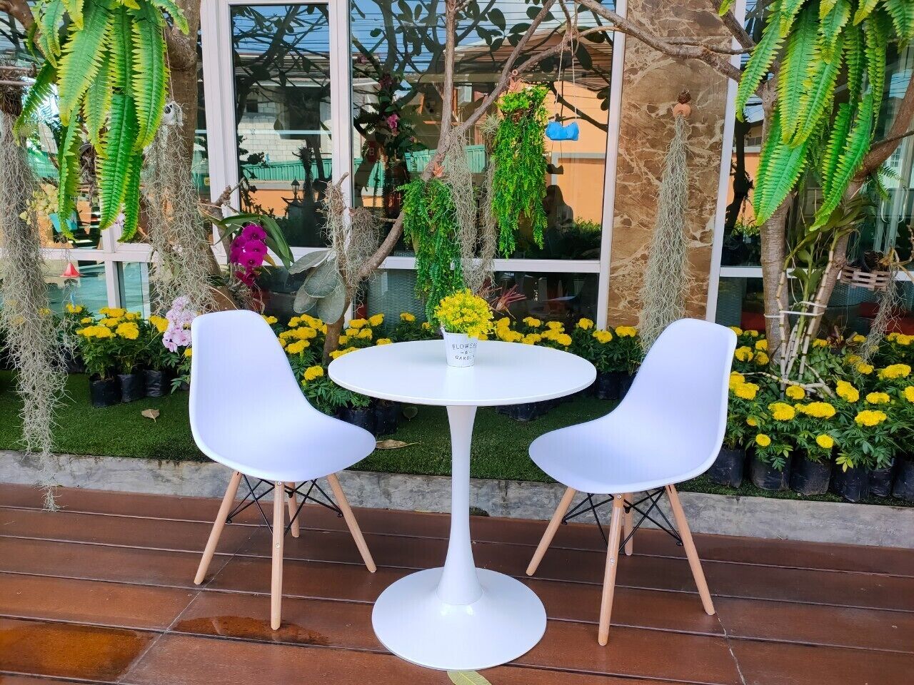 Terraza o patio