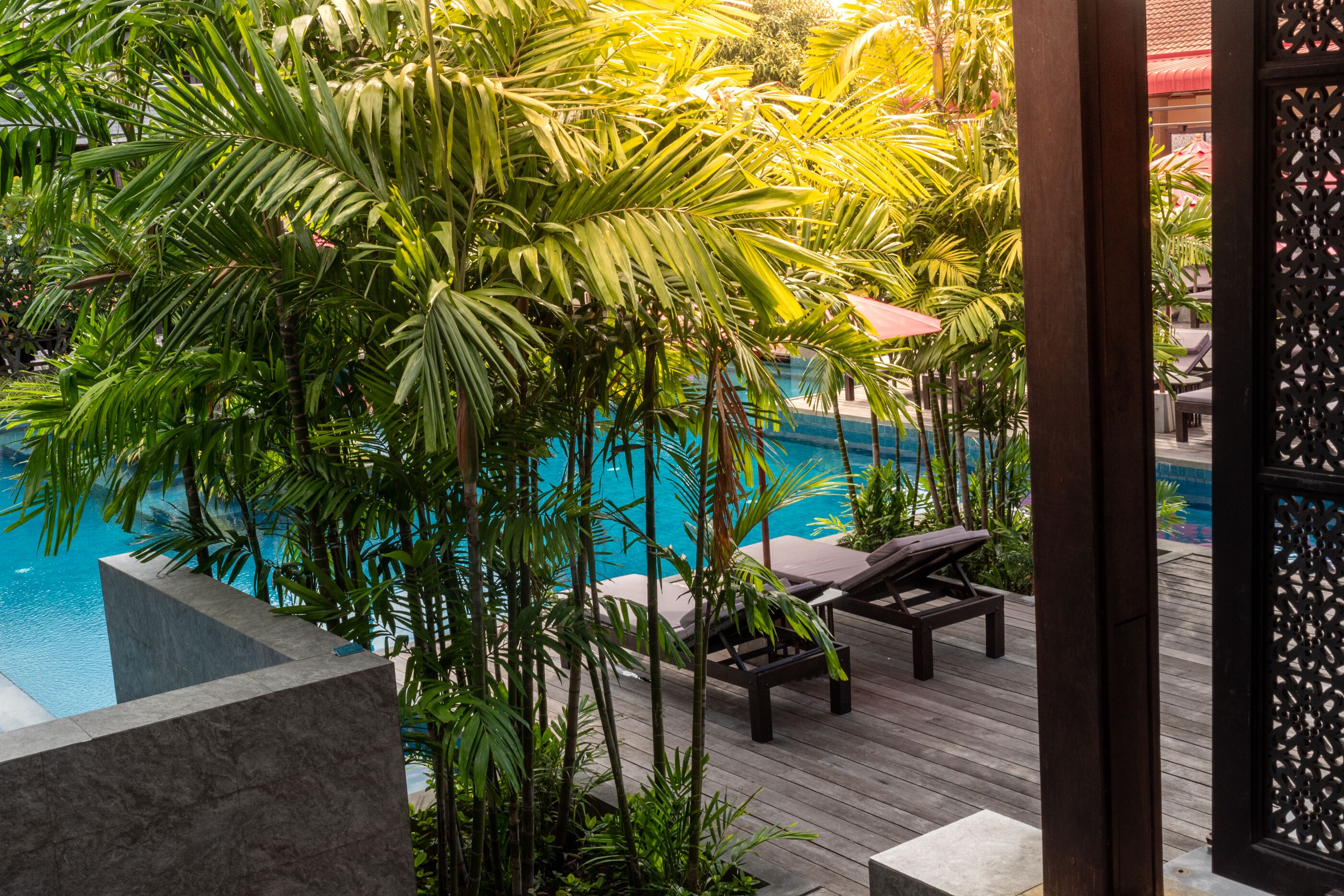 2 室外游泳池，池畔遮阳伞，日光浴躺椅