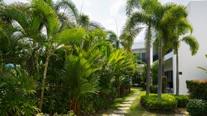 Um caminho bordeado por palmeiras e vegetação exuberante, levando a um edifício moderno com fachada branca.