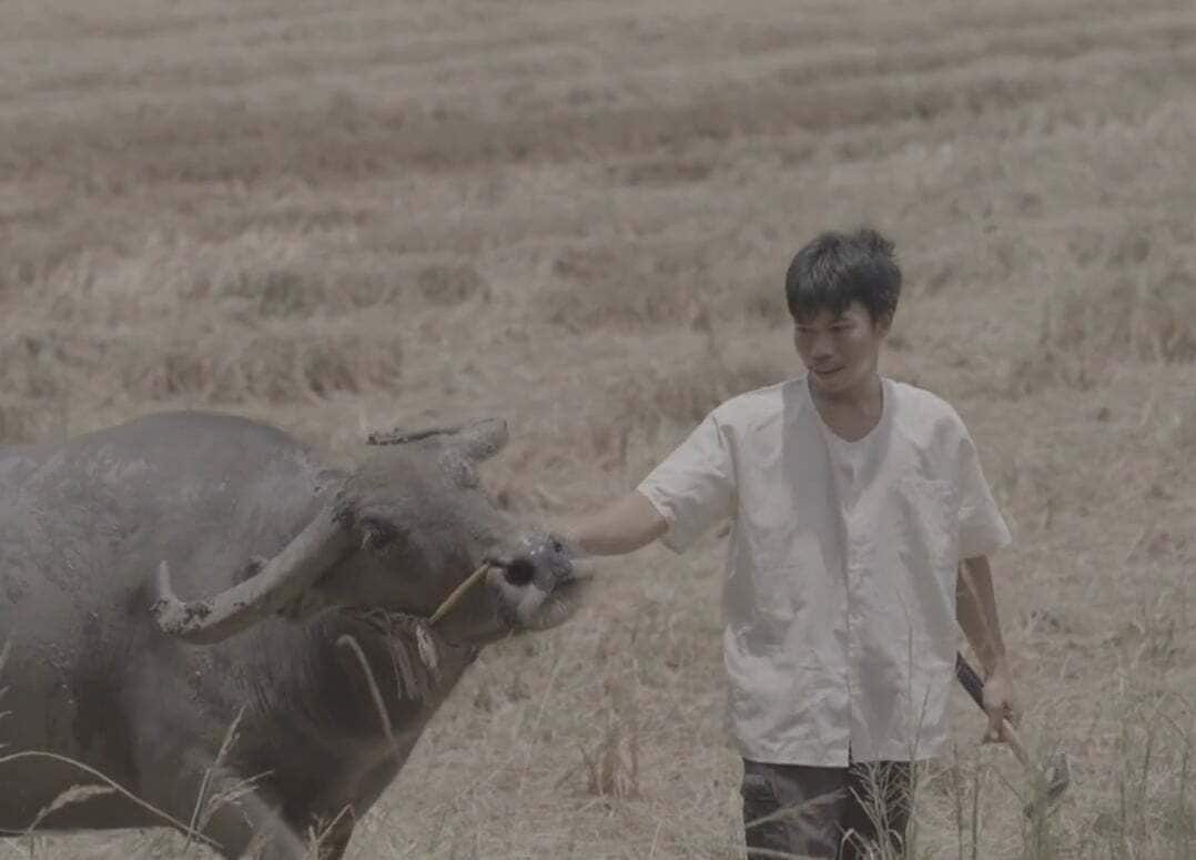 Foto - Pludhaya Resort & Spa