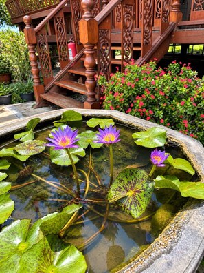 A garden with a pond, water lilies, and a wooden staircase. - Pludhaya Resort & Spa (Ayutthaya)
