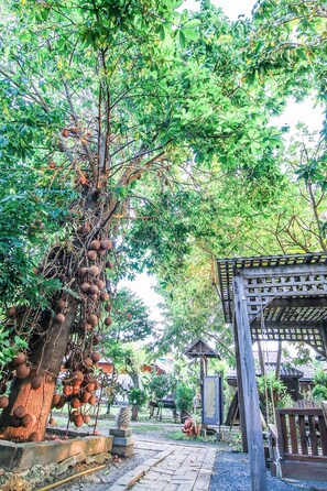 Giardino