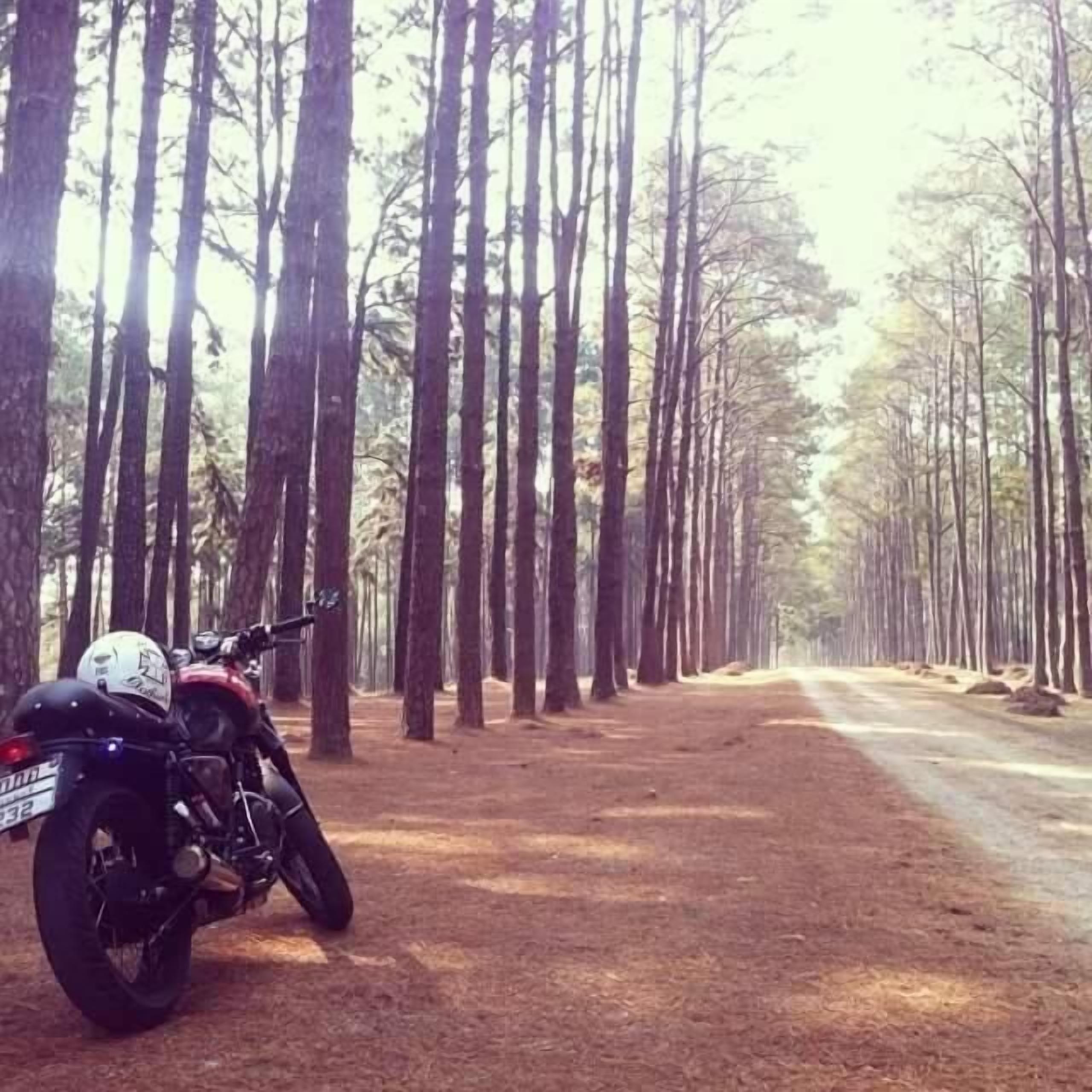 Una motocicleta estacionada en un camino de tierra en un área boscosa.