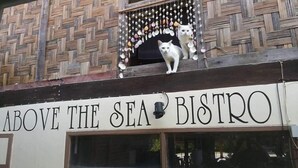 Ein Gebäude mit einer Schrifttafel, auf der „Above the Sea Bistro“ steht, und einer Katze, die auf dem Dach sitzt.