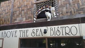 Exterior - Above the Sea Guesthouse (Mae Sariang)