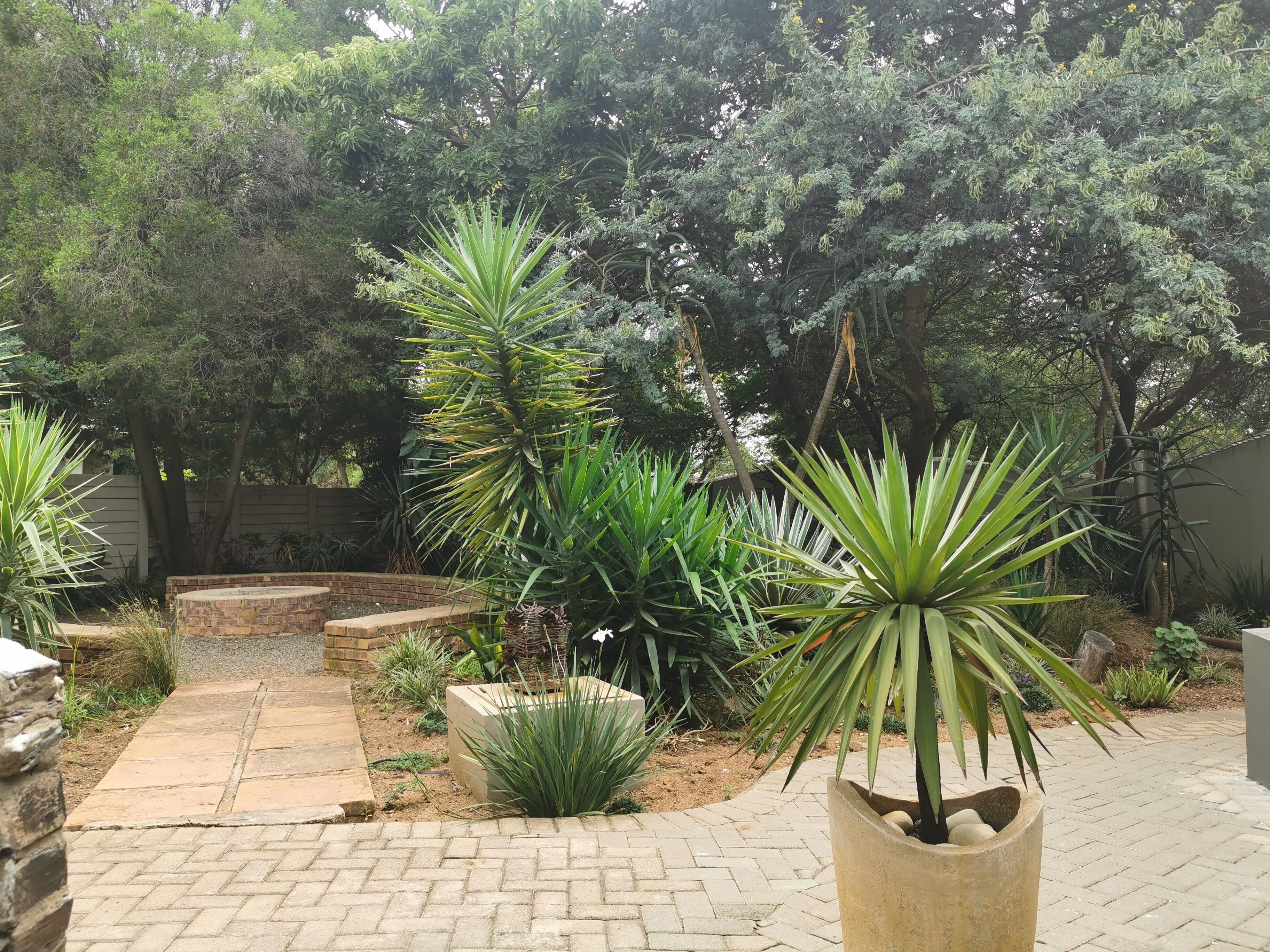 Ein Garten mit verschiedenen Pflanzen und einem Pflasterweg.