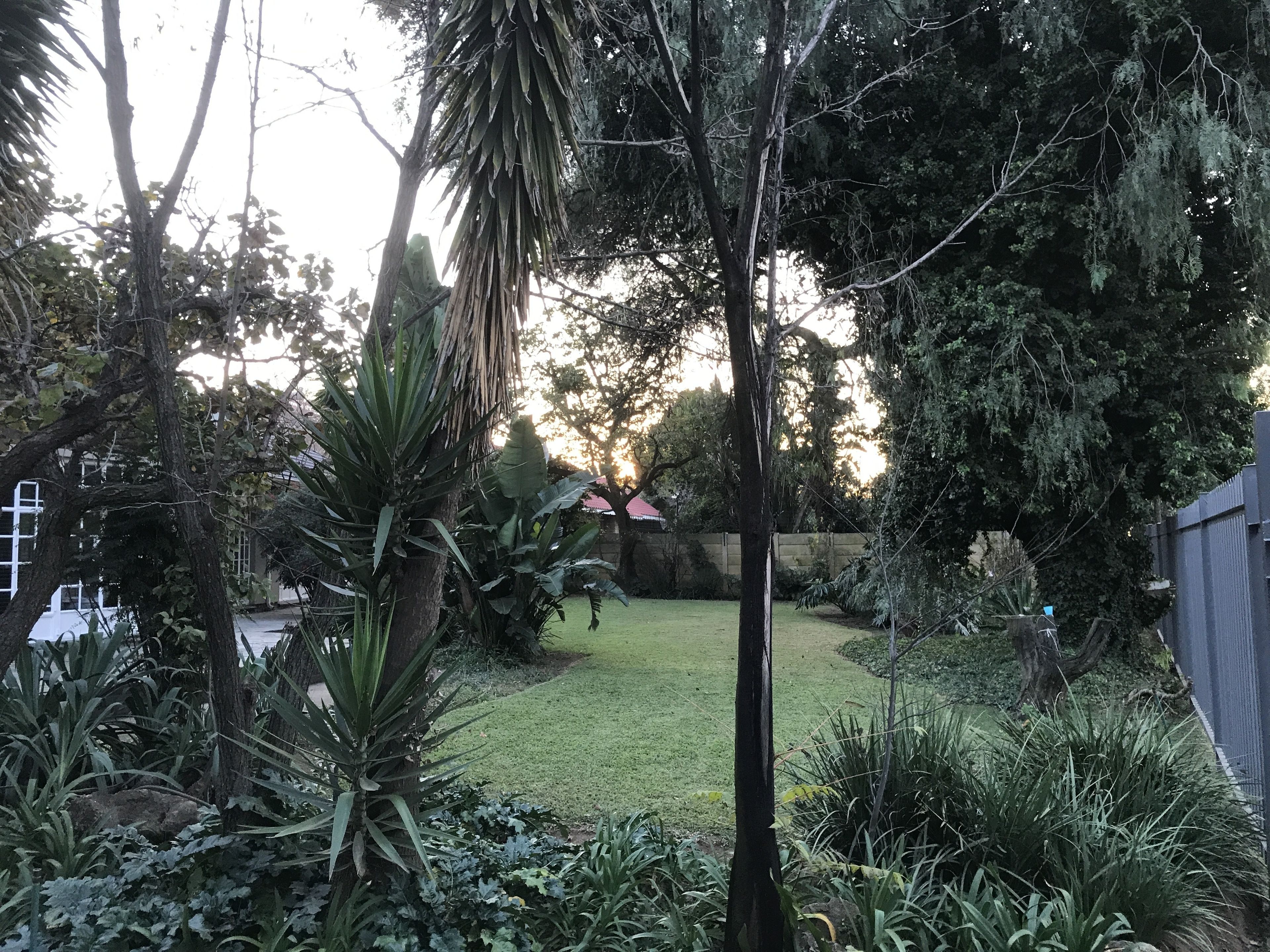A garden with various plants and trees, a lawn, and a fence.