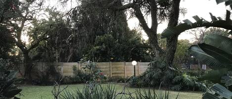 Un jardín con diversas plantas y un gran árbol.