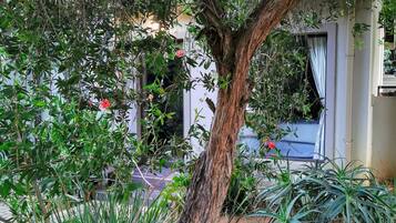 Uma árvore com folhagem densa em um jardim bem cuidado.