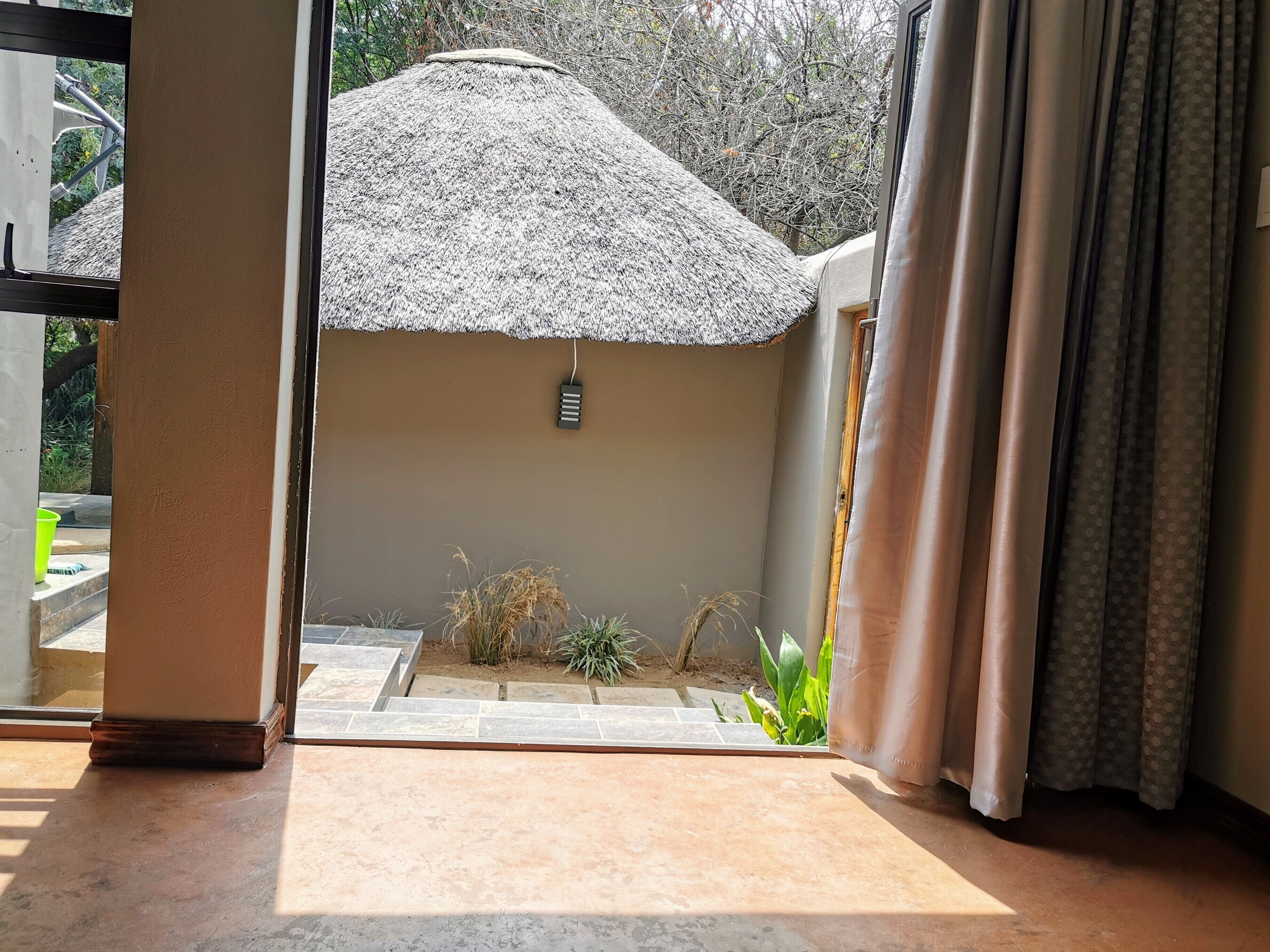 A room with a thatched roof, a small garden area with plants, and a view of the outdoors.