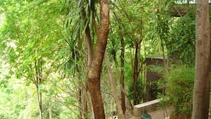 Unclassified image, 5 of 18, button - Sam's Jungle Guesthouse (Sai Yok)