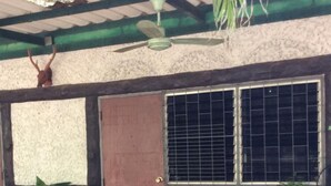 Unclassified image, 3 of 18, button - Sam's Jungle Guesthouse (Sai Yok)