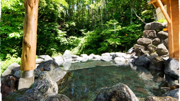 A wooden structure with a clear water feature surrounded by rocks and lush greenery.