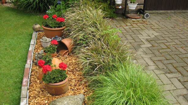 Garden - Vakantiewoning Lily (Oudenburg)