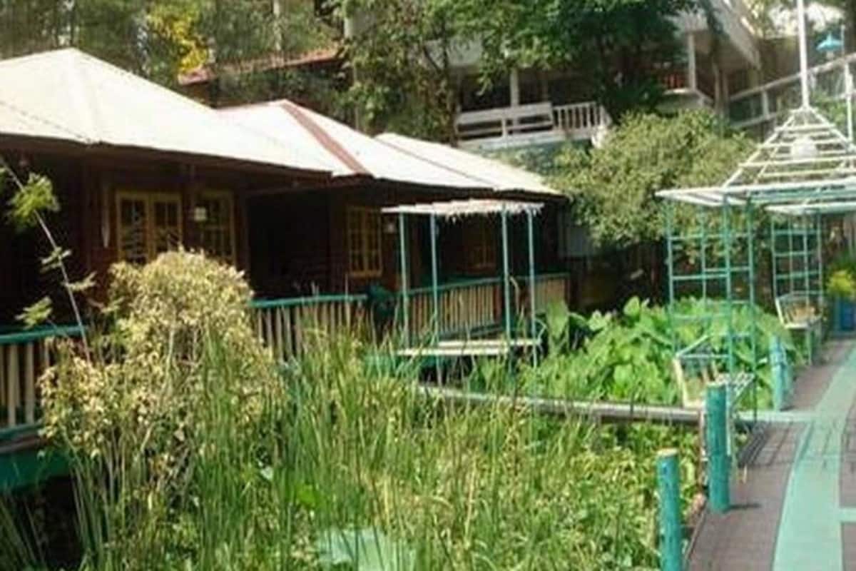 Hut Wood Bungalow | Vista dalla camera