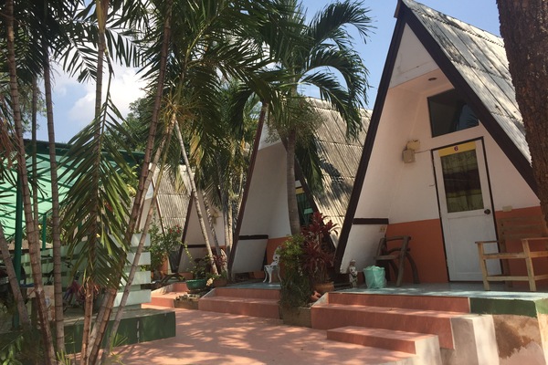 Comfort Room with Shower | Desk, free WiFi, bed sheets