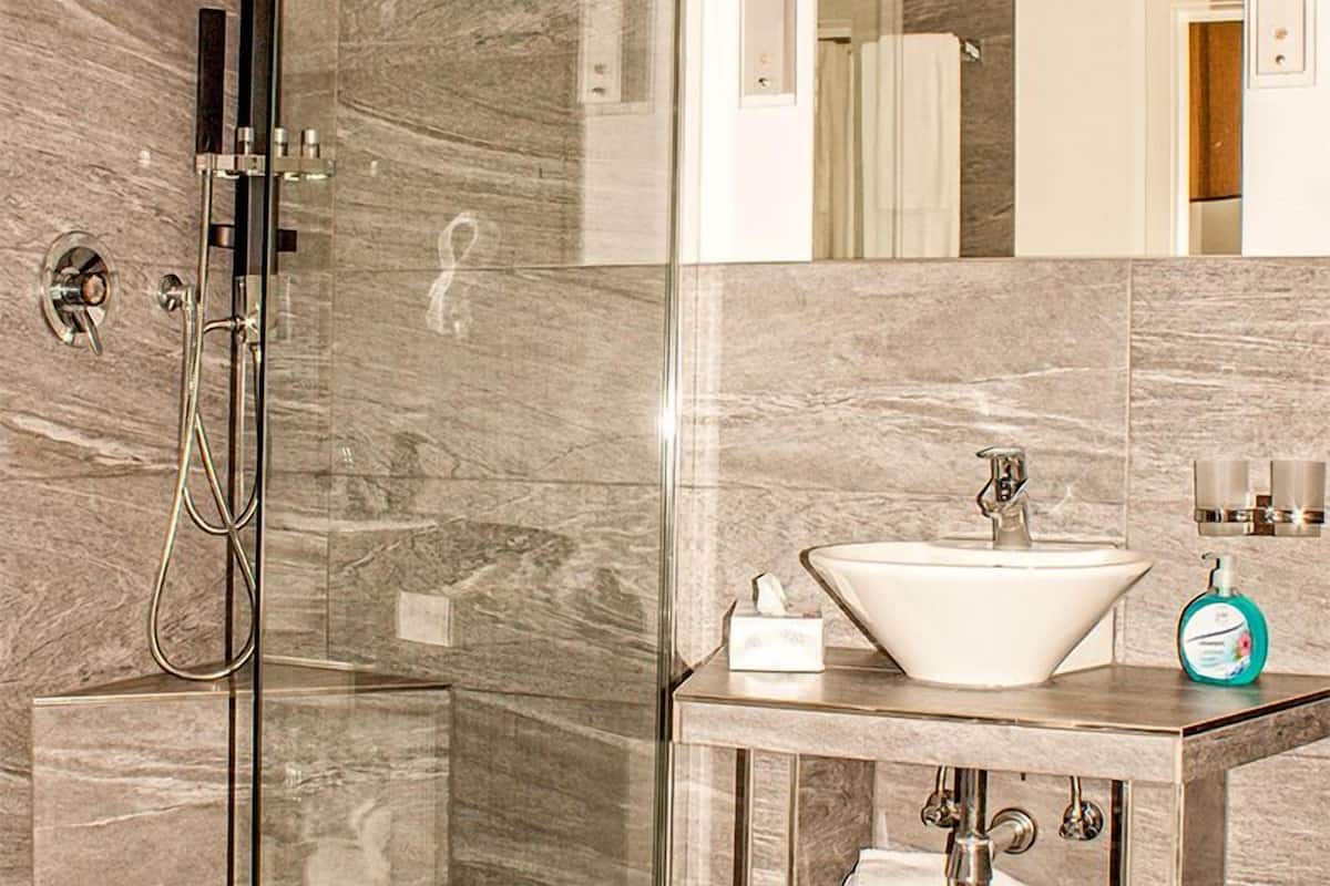 shower, free toiletries, hair dryer, towels