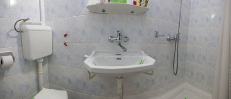 Un baño con inodoro, lavamanos y ducha. Hay estantes sobre el lavamanos con artículos de aseo.