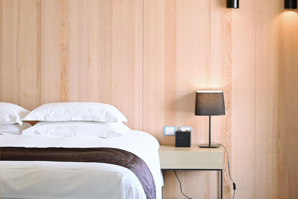 Standard Room, 1 King Bed (No parking)
