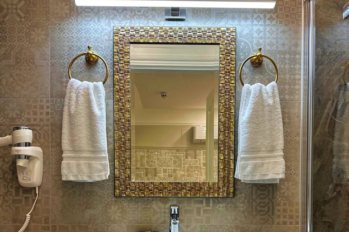 A bathroom with a vanity, a mirror, two towels hanging on towel rings, a hairdryer, a toilet paper holder, and a shower area.