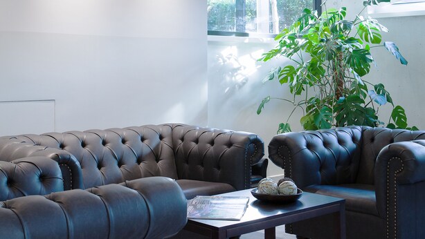 Een moderne woonkamer met donker lederen banken, een salontafel en een grote plant.
