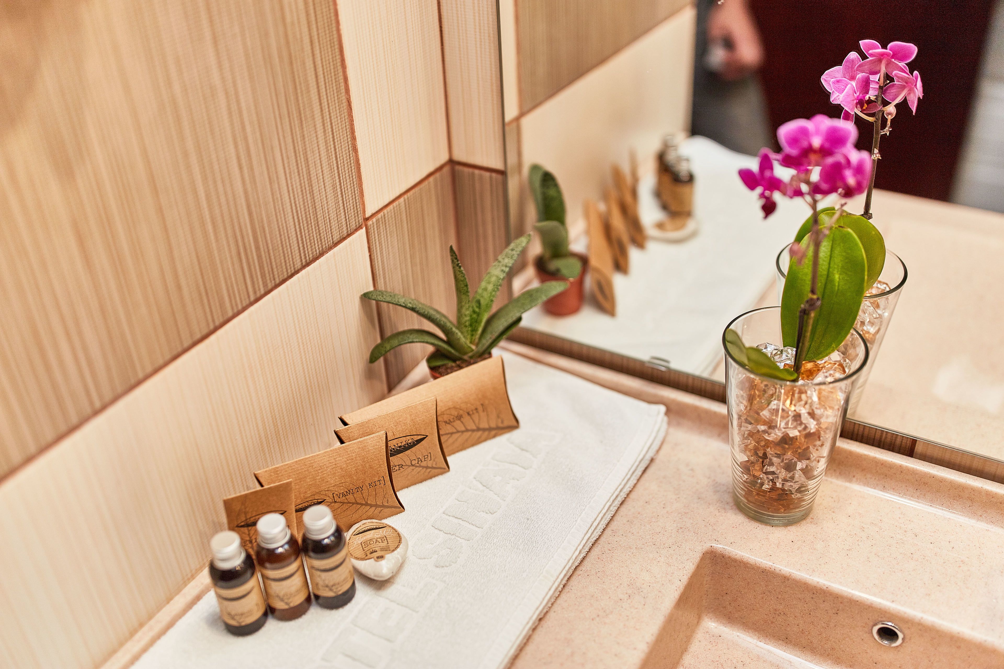 budget twin room without balcony | bathroom | shower, free toiletries, hair dryer, bathrobes