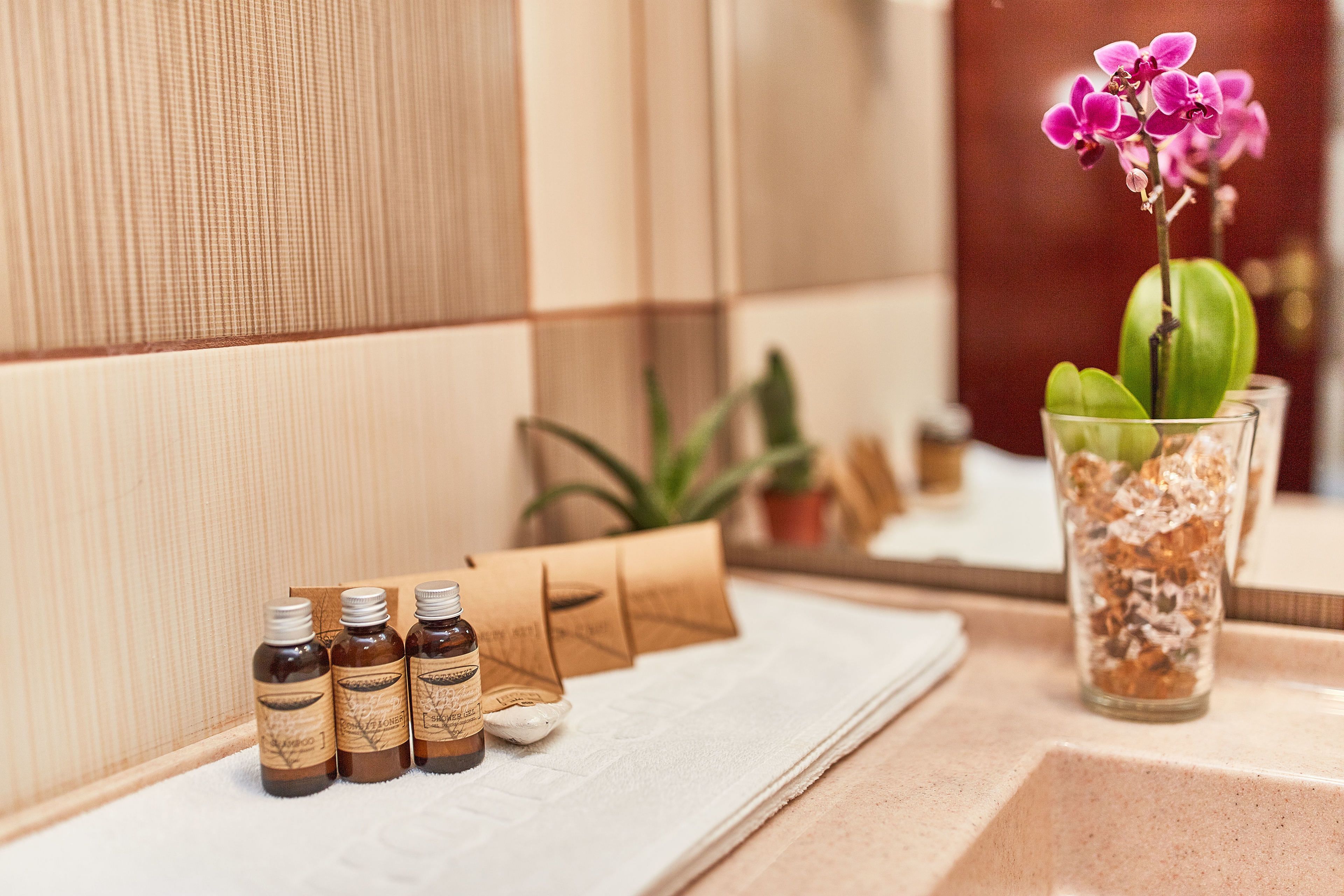 standard twin room without balcony | bathroom | shower, free toiletries, hair dryer, bathrobes