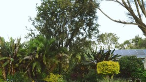 A lush garden with various plants and trees, a well-maintained lawn, and a solar panel structure in the background. - Malcolm Lodge (Harare)