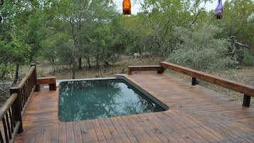 Marloth Kruger Bush Villa | Free WiFi, bed sheets