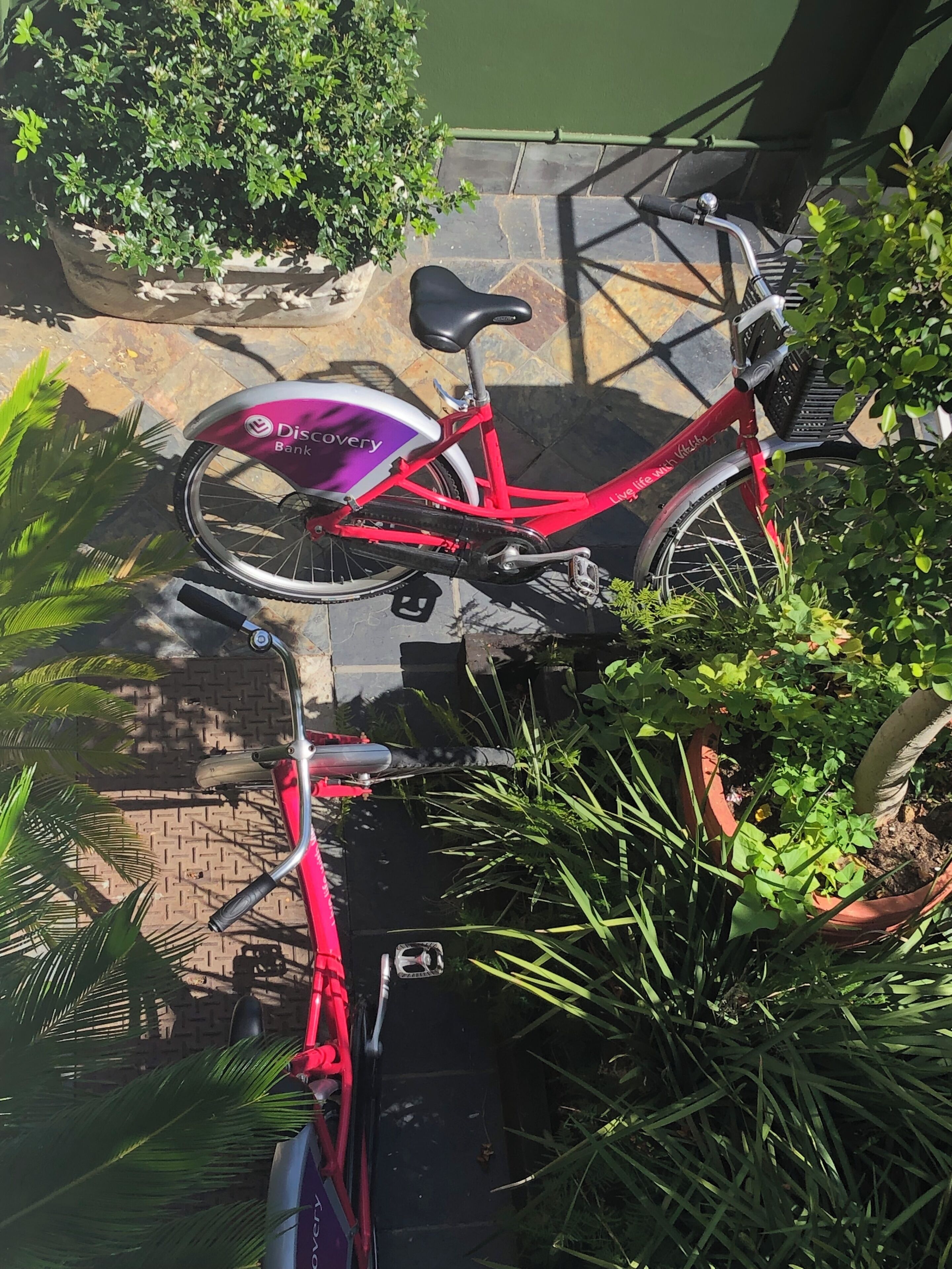 Photo - Gordons Guesthouse