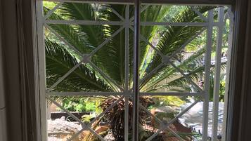 Double Bed Room | Terrace/patio