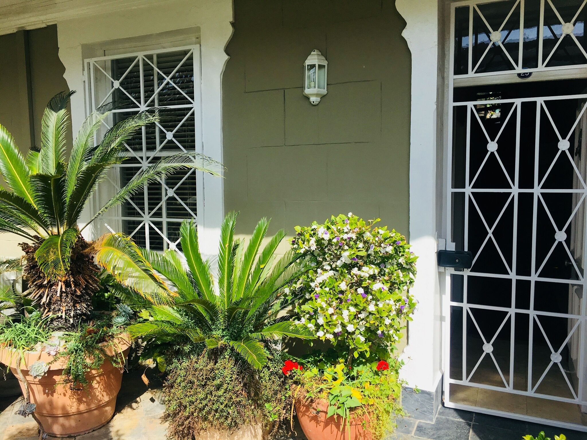 Photo - Gordons Guesthouse