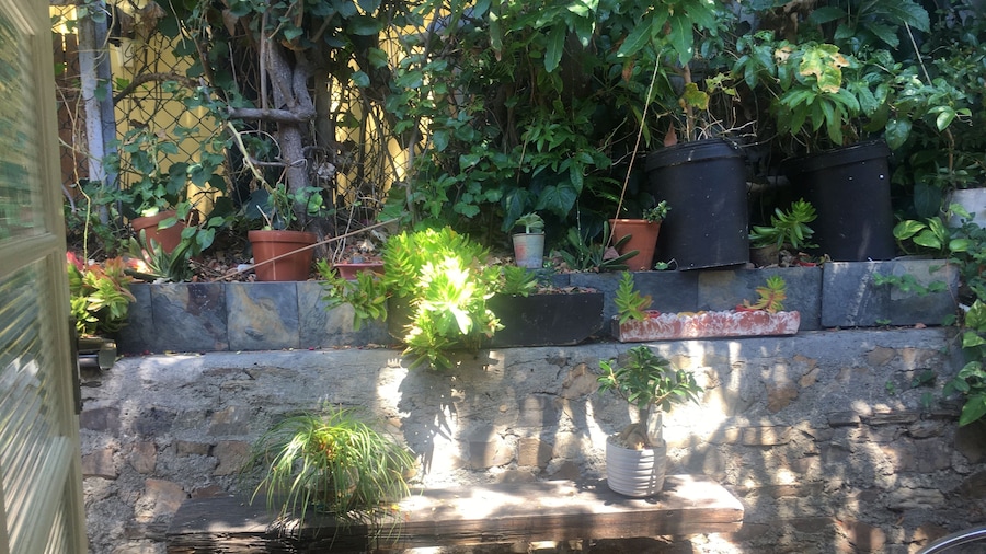 Gordons Guesthouse