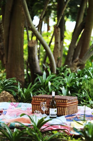 Property grounds - Elsje's Country Inn - Guesthouse (Kempton Park)