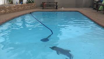 Piscine extérieure, chaises longues