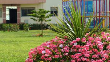 สวน