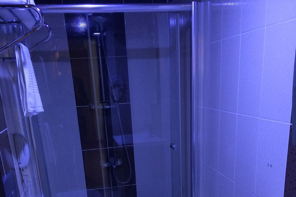 shower, free toiletries, hair dryer, slippers