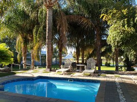 Jardín