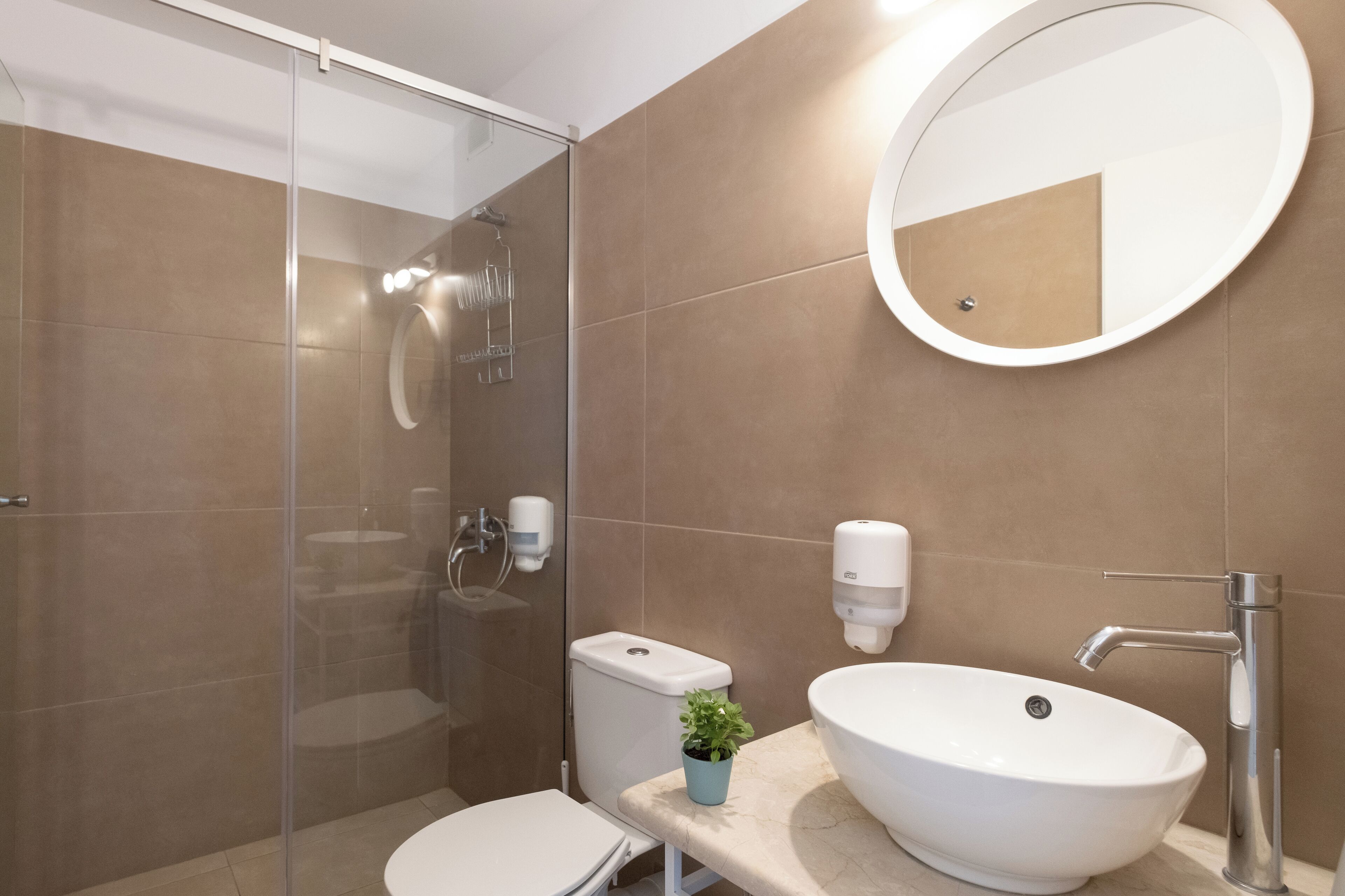 A modern bathroom with a glass shower enclosure, a toilet, a sink with a large mirror, and a small potted plant.