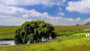 A white building with a green roof, surrounded by lush green fields and a small body of water.
